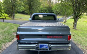 Chevrolet-c10-pickup-1986-custom-2