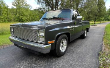 Chevrolet-c10-pickup-1986-custom-20