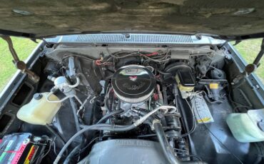 Chevrolet-c10-pickup-1986-custom-23