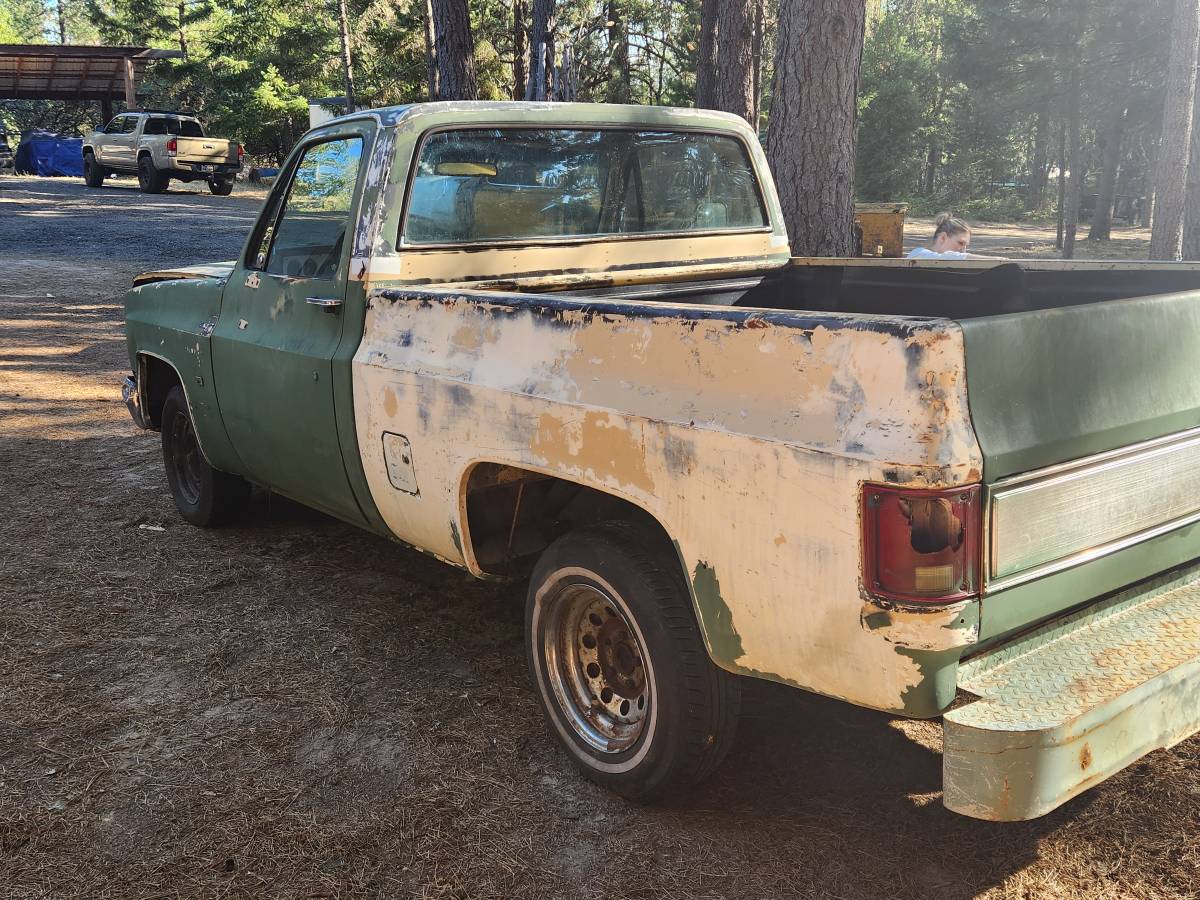Chevrolet-c10-pickup-diesel-1982-1