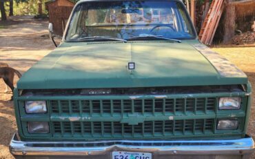 Chevrolet-c10-pickup-diesel-1982-2