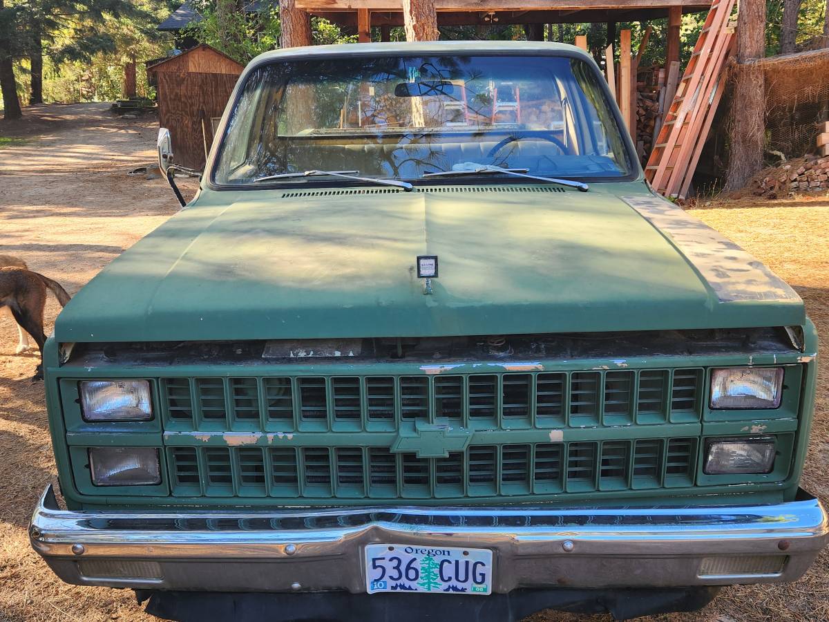 Chevrolet-c10-pickup-diesel-1982-2