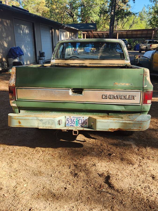 Chevrolet-c10-pickup-diesel-1982-3