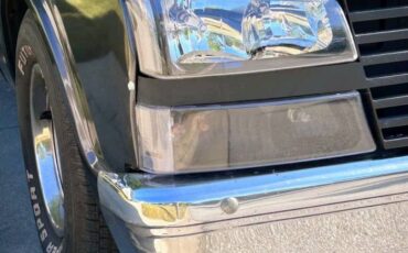 Chevrolet-c10-short-and-stepside-1970-grey-10