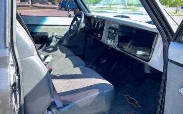Chevrolet-c10-short-and-stepside-1970-grey-7