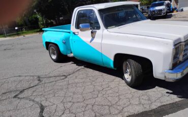 Chevrolet-c10-stepside-1979-custom-2