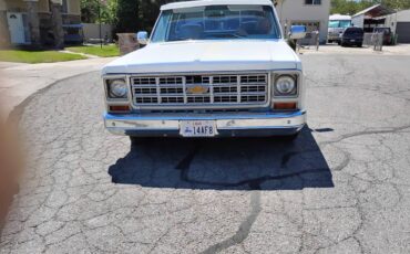 Chevrolet-c10-stepside-1979-custom
