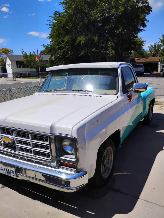 Chevrolet-c10-stepside-1979-custom-8