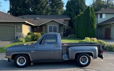 Chevrolet-c10-stepside-1981-custom-1