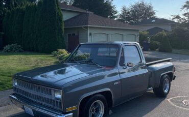 Chevrolet-c10-stepside-1981-custom-3