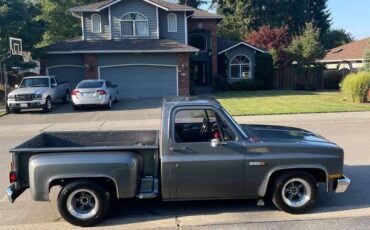 Chevrolet-c10-stepside-1981-custom-6