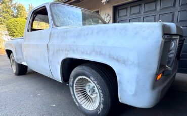 Chevrolet-c10-stepside-electric-1973-grey-10