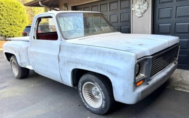 Chevrolet-c10-stepside-electric-1973-grey-12