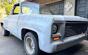 Chevrolet-c10-stepside-electric-1973-grey-13