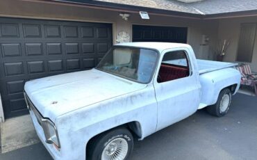 Chevrolet-c10-stepside-electric-1973-grey-2