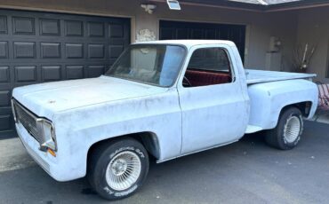 Chevrolet-c10-stepside-electric-1973-grey