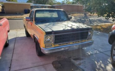 Chevrolet-c10-swb-1975-2