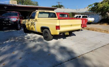 Chevrolet-c10-swb-1975-3