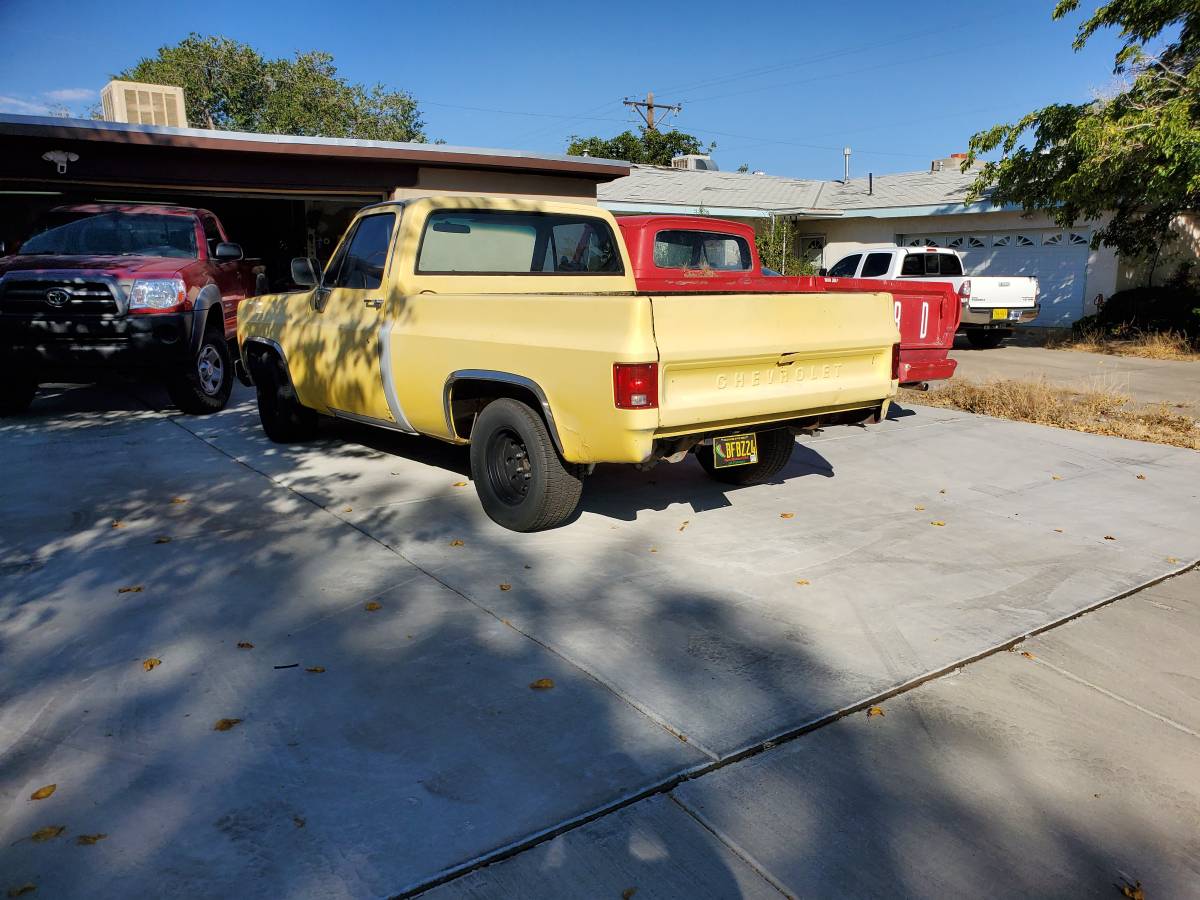 Chevrolet-c10-swb-1975-3