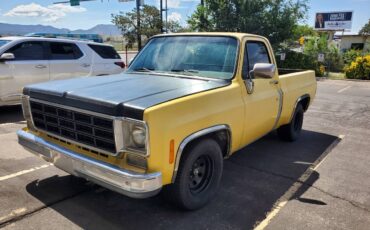 Chevrolet-c10-swb-1975-4