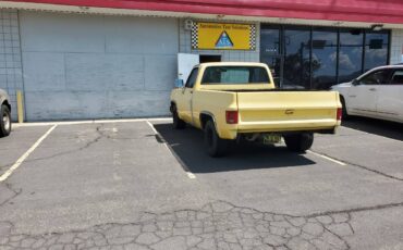 Chevrolet-c10-swb-1975-5