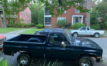 Chevrolet-c10-swb-1985-blue-2