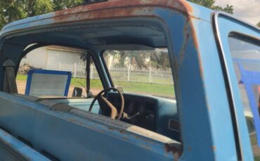 Chevrolet-c10-swb-stepside-1977-blue-11