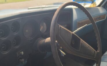 Chevrolet-c10-swb-stepside-1977-blue-14