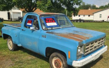 Chevrolet-c10-swb-stepside-1977-blue-4