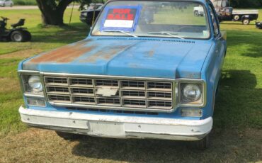 Chevrolet-c10-swb-stepside-1977-blue-5