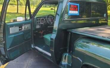 Chevrolet-c10-swb-stepside-1979-green-10