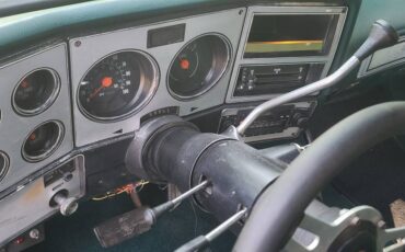 Chevrolet-c10-swb-stepside-1979-green-14