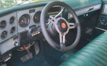 Chevrolet-c10-swb-stepside-1979-green-15