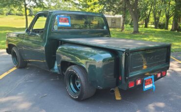 Chevrolet-c10-swb-stepside-1979-green-2