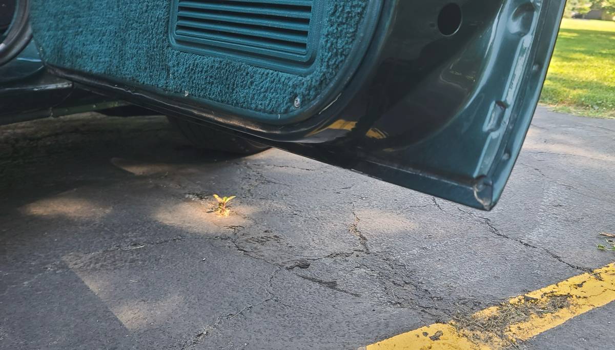 Chevrolet-c10-swb-stepside-1979-green-21
