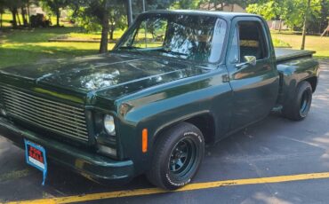 Chevrolet-c10-swb-stepside-1979-green-6