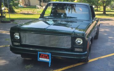 Chevrolet-c10-swb-stepside-1979-green-7