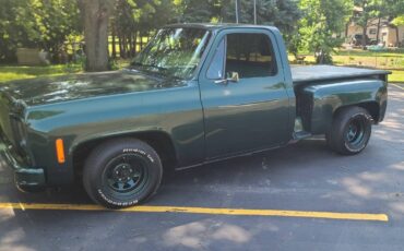 Chevrolet-c10-swb-stepside-1979-green-8