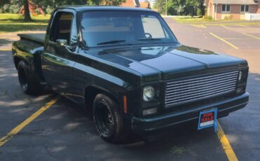 Chevrolet-c10-swb-stepside-1979-green-9