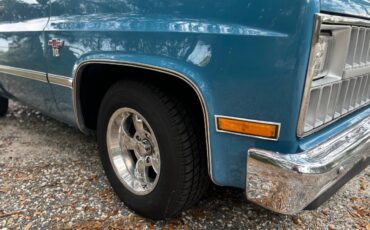 Chevrolet-c10-truck-1981-blue-2