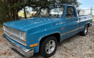 Chevrolet-c10-truck-1981-blue-24