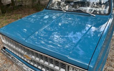 Chevrolet-c10-truck-1981-blue-31