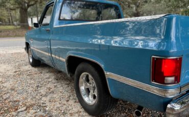 Chevrolet-c10-truck-1981-blue-36