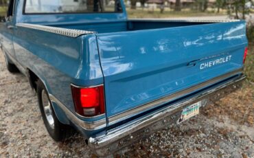 Chevrolet-c10-truck-1981-blue-38