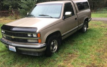 Chevrolet-c15-1989-brown