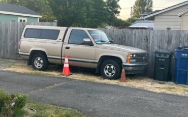 Chevrolet-c15-1989-brown-5
