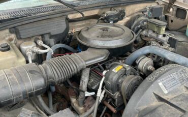 Chevrolet-c15-1989-brown-7
