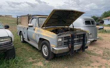 Chevrolet-c20-1985-yellow-13