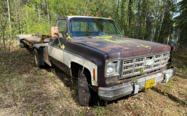 Chevrolet-c30-1977-brown-3