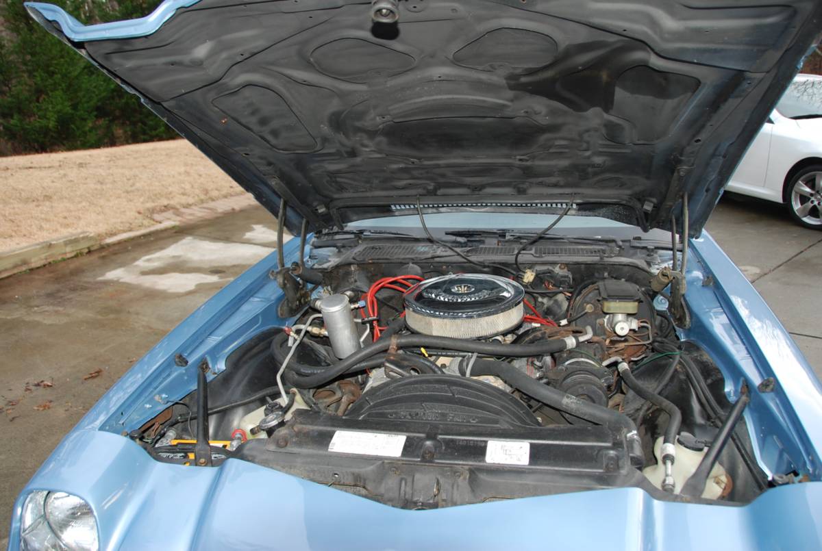 Chevrolet-camaro-1981-blue-22